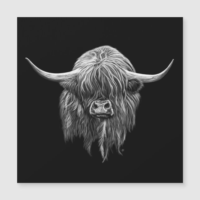 Scottish Highland Cow In Black And White (Front)