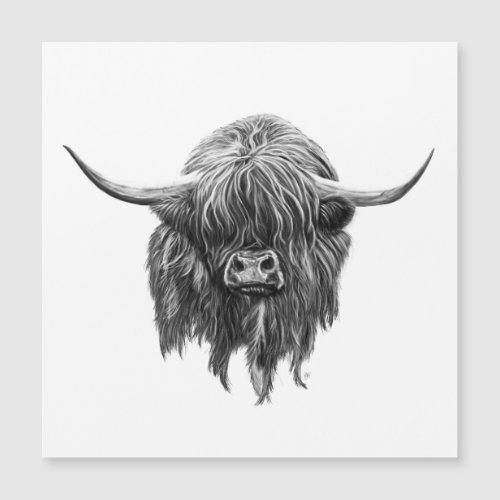 Scottish Highland Cow In Black And White