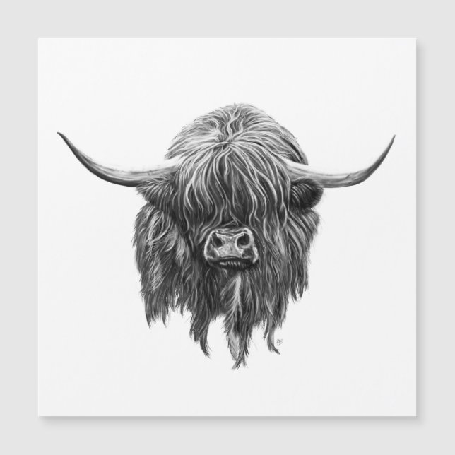 Scottish Highland Cow In Black And White (Front)