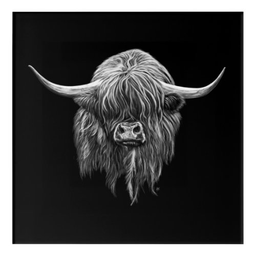 Scottish Highland Cow In Black And White Acrylic Print