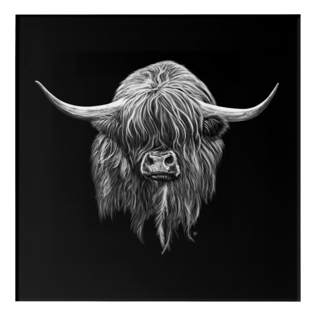 Scottish Highland Cow In Black And White Acrylic Print (Front)