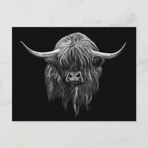 Scottish Highland Cow In Black And White Postcard