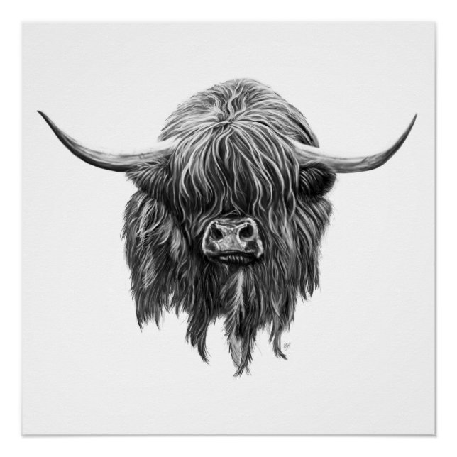 Scottish Highland Cow In Black And White Poster (Front)