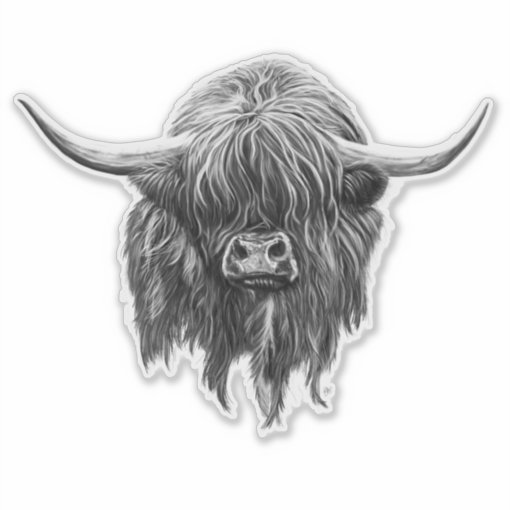 Scottish Highland Cow In Black And White Sticker | Zazzle