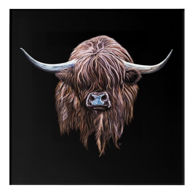 Scottish Highland Cow In Colour Acrylic Print (Front)