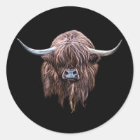 Scottish Highland Cow In Colour