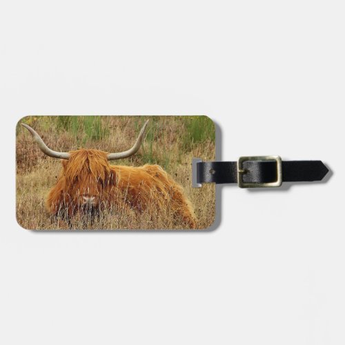 Scottish Highland Cow in the grass Luggage Tag