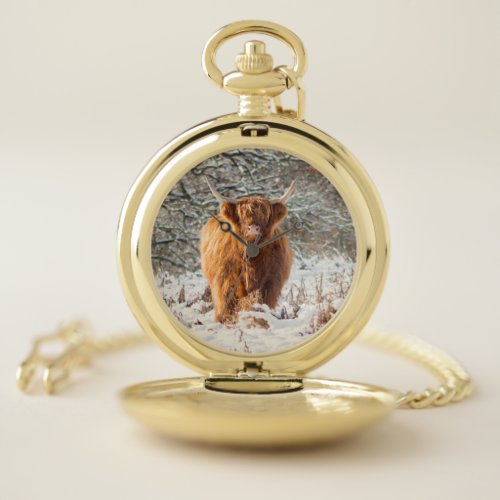 Scottish Highland cow in the snow Pocket Watch