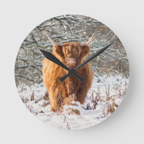 Scottish Highland cow in the snow Round Clock