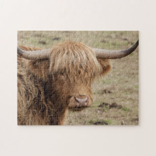 Scottish Highland cow Jigsaw Puzzle