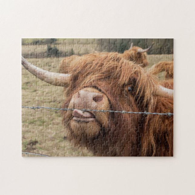 Scottish Highland cow Jigsaw Puzzle (Horizontal)