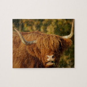 Scottish Highland Cow Jigsaw Puzzle