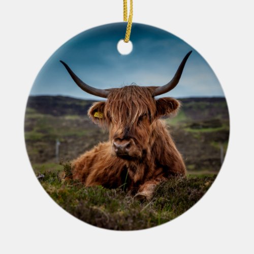 Scottish Highland Cow Longhorn Bull Rancher Ceramic Ornament