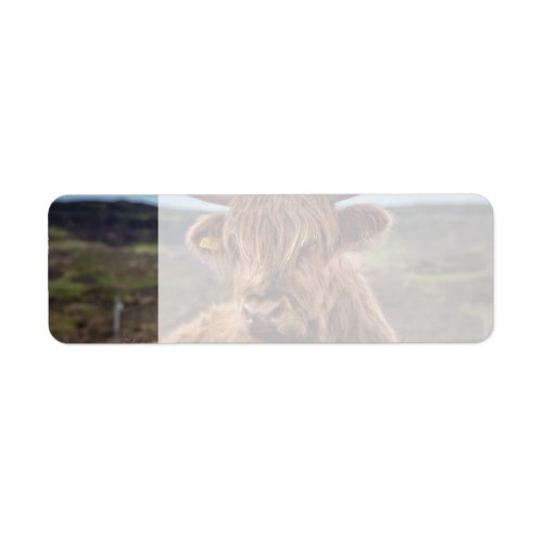 Scottish Highland Cow Longhorn Bull Rancher Label