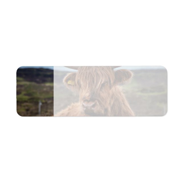 Scottish Highland Cow Longhorn Bull Rancher Label (Front)