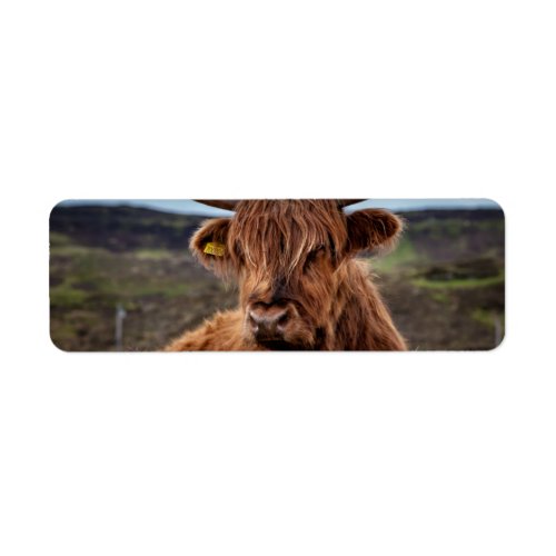 Scottish Highland Cow Longhorn Bull Rancher Label