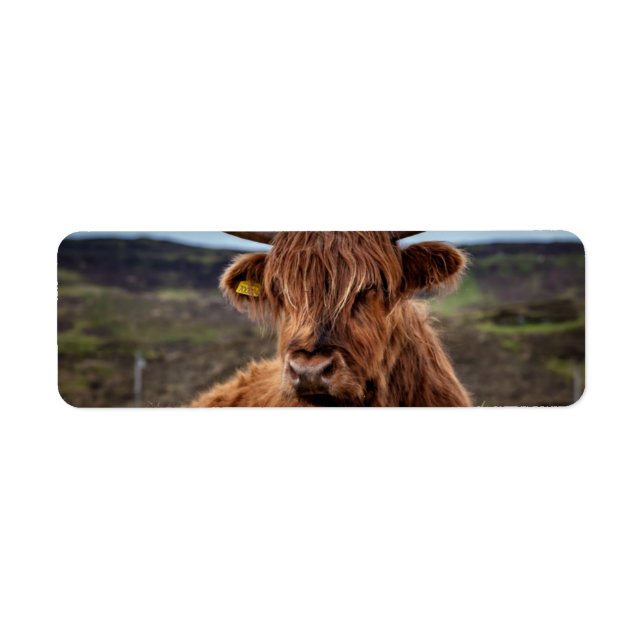 Scottish Highland Cow Longhorn Bull Rancher Label (Front)