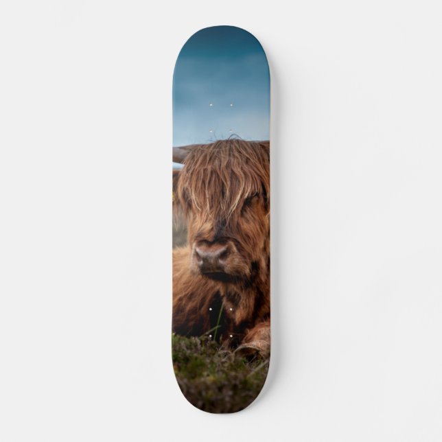 Scottish Highland Cow Longhorn Bull Rancher Skateboard Deck (Front)
