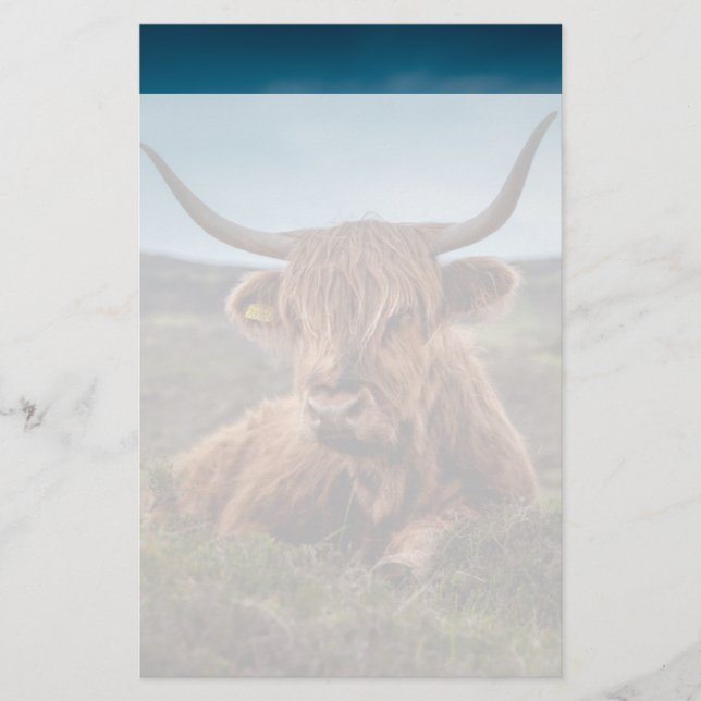 Scottish Highland Cow Longhorn Bull Rancher Stationery (Front)