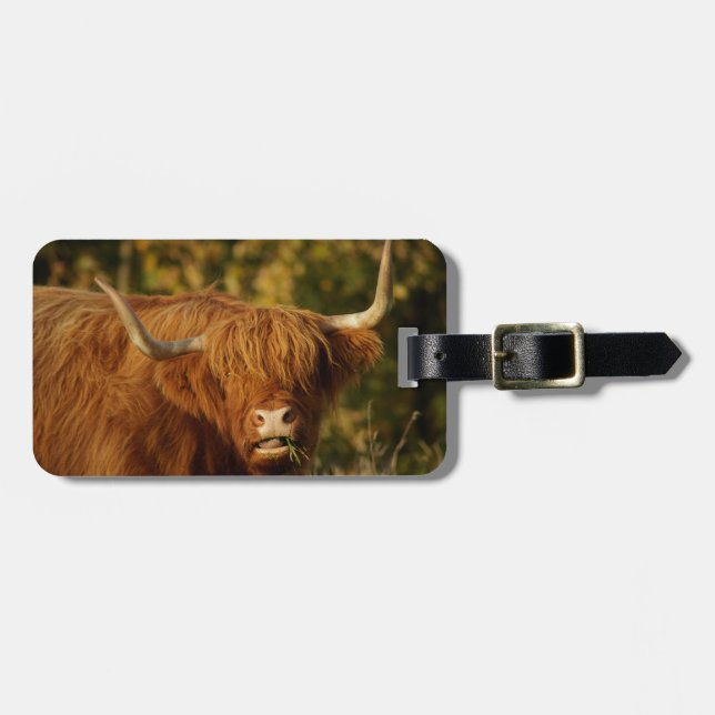 Scottish Highland Cow Luggage Tag (Front Horizontal)