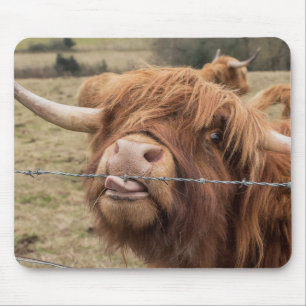 Scottish Highland cow Mouse Pad