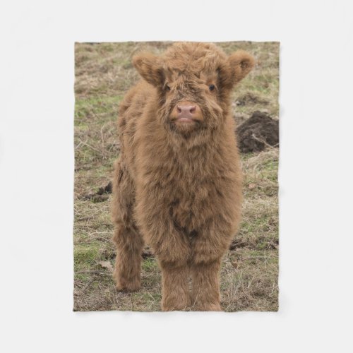 Scottish Highland cow photograph blanket