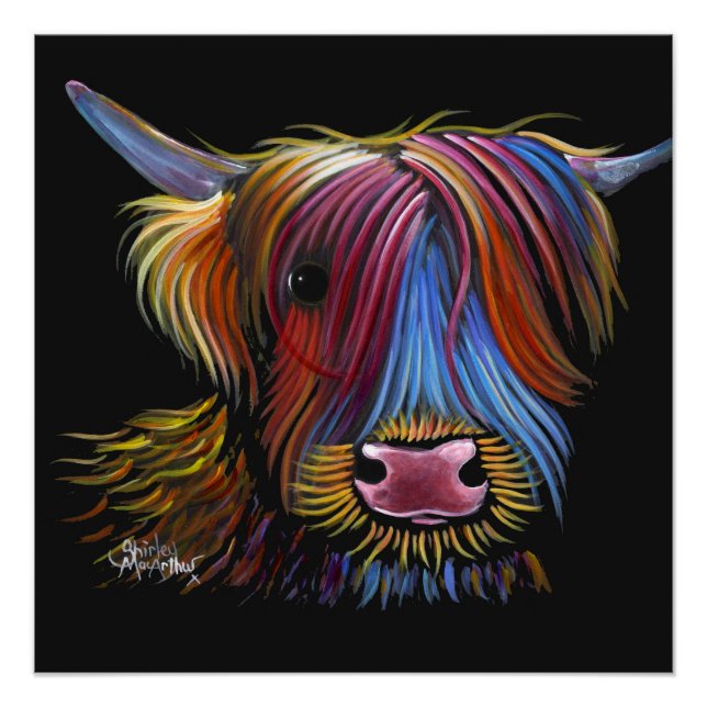 Scottish Highland Cow ' PODGER ' by Shirley M Poster (Front)
