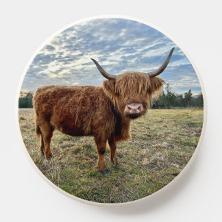 Scottish Highland Cow Portrait PopSocket