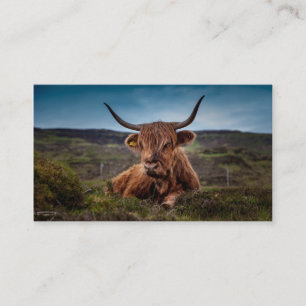 Scottish Highland Cow Rancher Business Cards