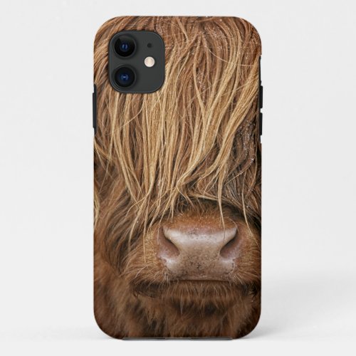 Scottish Highland Cow _ Scotland iPhone 11 Case