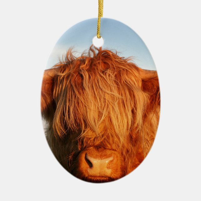 Scottish Highland Cow - Scotland Ceramic Ornament (Front)