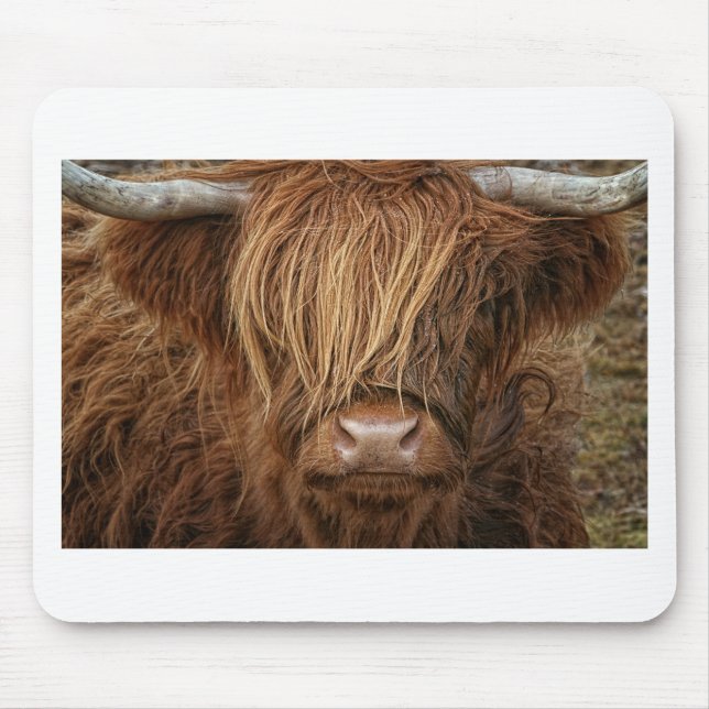 Scottish Highland Cow - Scotland Mouse Pad (Front)