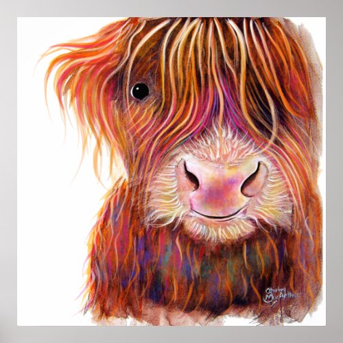 SCoTTiSH HigHLaND CoW  THe KiD 2  by SHiRLeY Mac Poster