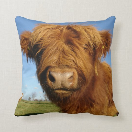 highland cow throw pillow