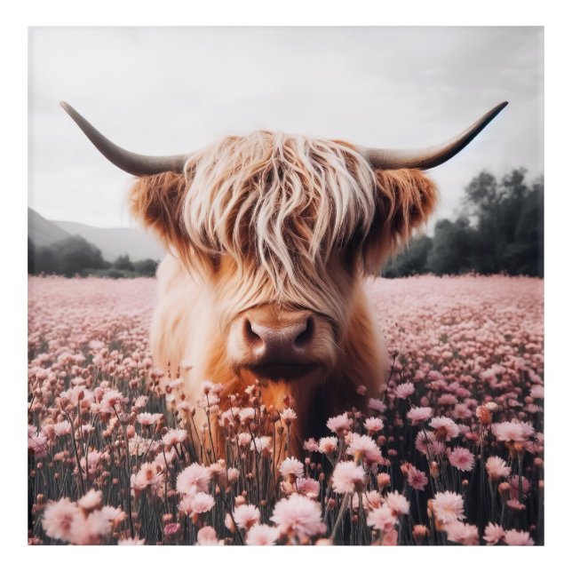 Scottish Highland Cow Wildflower Field Acrylic Print (Front)