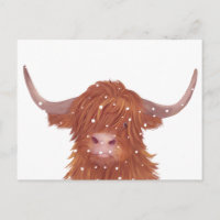 Scottish Highland Cow Winter