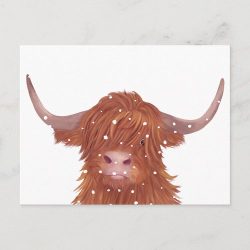 Scottish Highland Cow Winter  Postcard