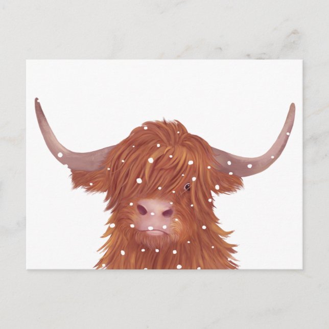 Scottish Highland Cow Winter  Postcard (Front)