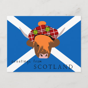 Scottish Highland cow with tartan cap and flag Postcard