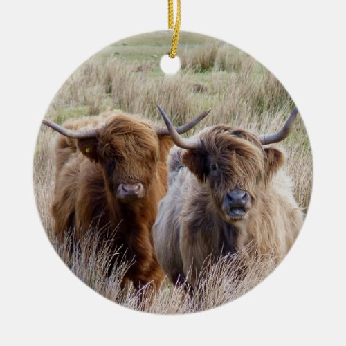 Scottish Highland Cows Ceramic Ornament