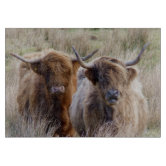 Highland cow cartoon illustration cutting board