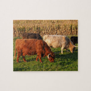 Scottish Highland Cows in a pasture Jigsaw Puzzle
