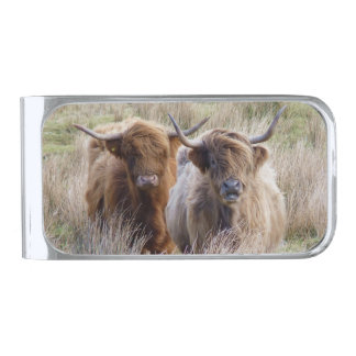 Scottish Highland Cows in the grass Silver Finish Money Clip