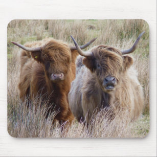 BGLKCS Mouse Pad Fabric Topped Rubber Backed Red Aberdeen Angus Beef Cattle Steer Calf