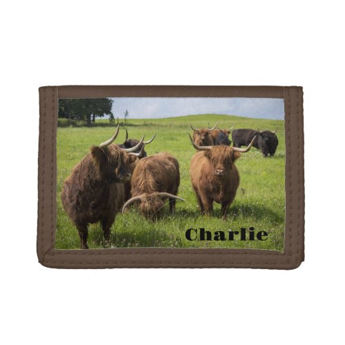 Scottish Highland Cows on Pasture Trifold Wallet
