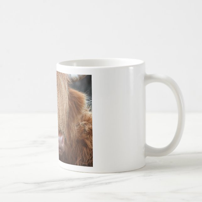 Scottish Highland Cows - Scotland Coffee Mug (Right)