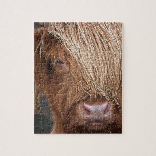 Scottish Highland Cows _ Scotland Jigsaw Puzzle