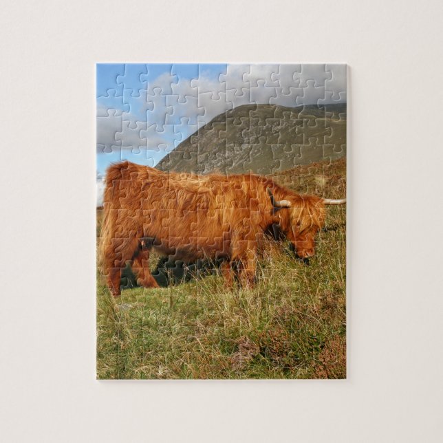 Scottish Highland Cows - Scotland Jigsaw Puzzle (Vertical)