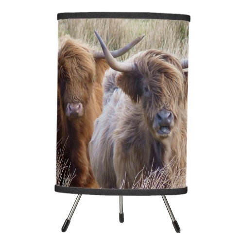 Scottish Highland Cows Tripod Lamp