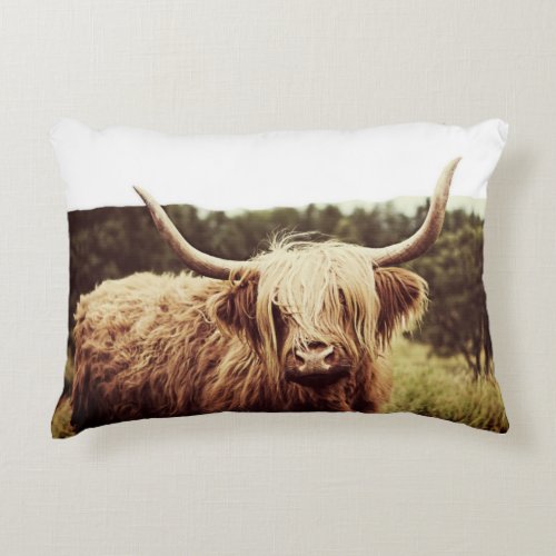 Scottish Highland Long Haired Cow Accent Pillow